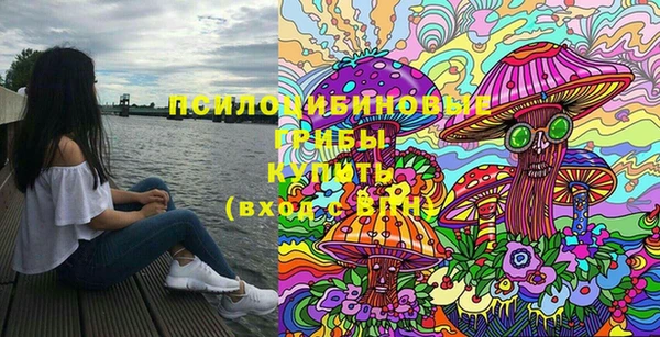 экстази Белокуриха