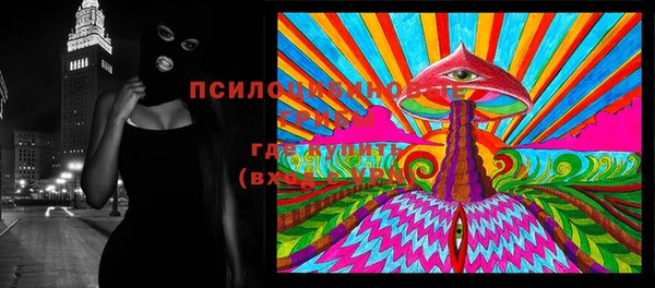 экстази Белокуриха
