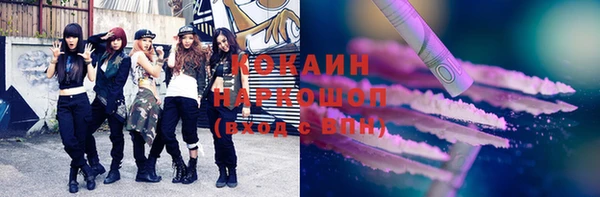 индика Ельня