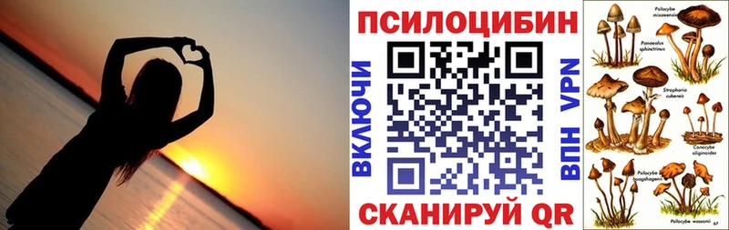 Псилоцибиновые грибы Psilocybine cubensis  где купить наркоту  Емва 